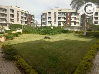 2 Bedroom Penthouse for Rent in Sheikh Zayed, Giza - 1000432425. jpg 2 Bedroom Penthouse for Rent in Sheikh Zayed, Giza - 1000432425. jpg