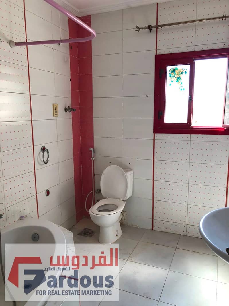 3 99616. jpg