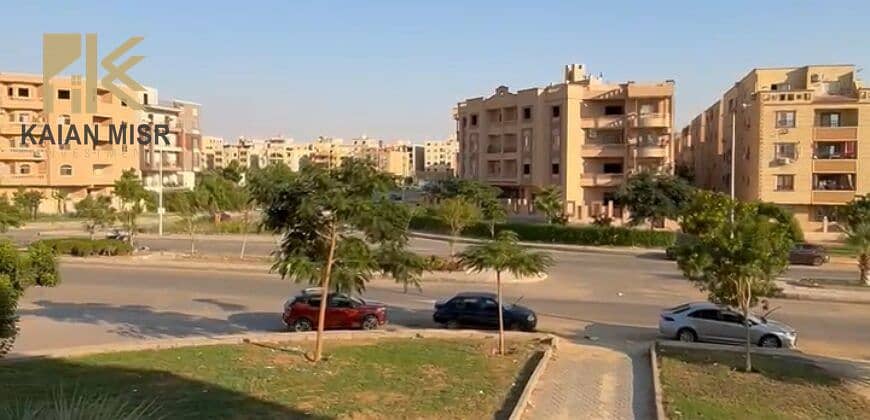 2 5453. jpg