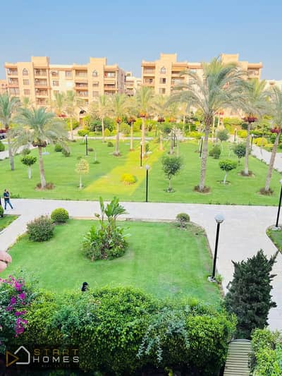 4 Bedroom Flat for Rent in New Cairo, Cairo - WhatsApp Image 2026-08-13 at 2.52. 32 PM (1). jpeg 4 Bedroom Flat for Rent in New Cairo, Cairo - WhatsApp Image 2026-08-13 at 2.52. 32 PM (1). jpeg