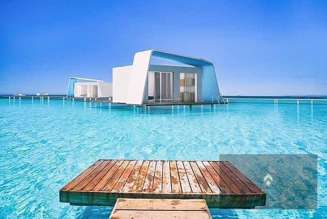 6 images (21). jpg