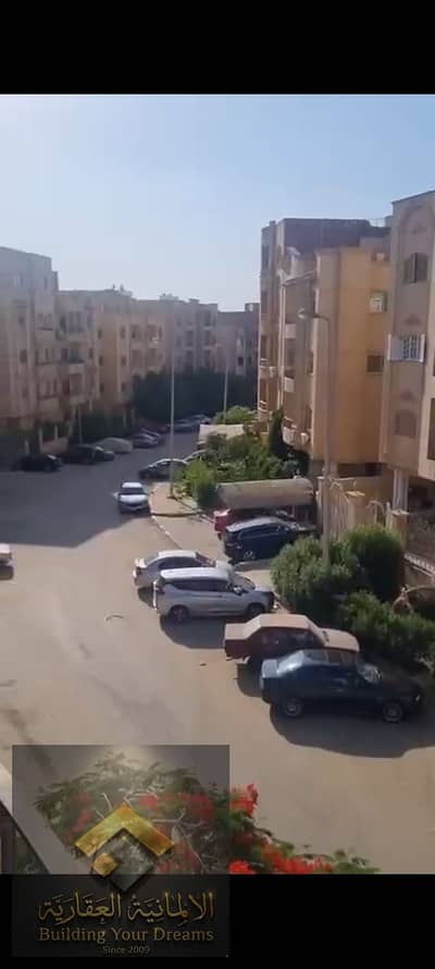 3 Bedroom Flat for Rent in New Cairo, Cairo - 424935. jpg 3 Bedroom Flat for Rent in New Cairo, Cairo - 424935. jpg
