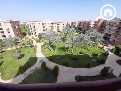 3 Bedroom Flat for Rent in New Cairo, Cairo - 12. jpg 3 Bedroom Flat for Rent in New Cairo, Cairo - 12. jpg
