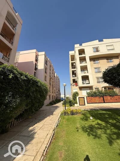 فلیٹ 3 غرف نوم للايجار في القاهرة الجديدة، القاهرة - 3e6d6a7a-3454-4930-b6af-f09925876f30. jpg