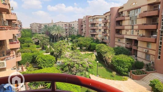 3 Bedroom Apartment for Rent in New Cairo, Cairo - IMG-20241123-WA0279. jpg