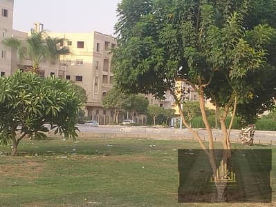 3 Bedroom Apartment for Sale in Shorouk City, Cairo - WhatsApp Image 2026-08-14 at 8.39. 15 PM. jpeg