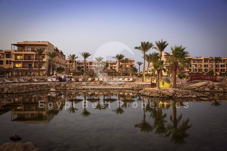 29 WhatsApp Image 2026-08-11 at 3.06. 19 PM. jpeg