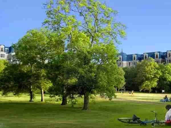5 1000001364. webp