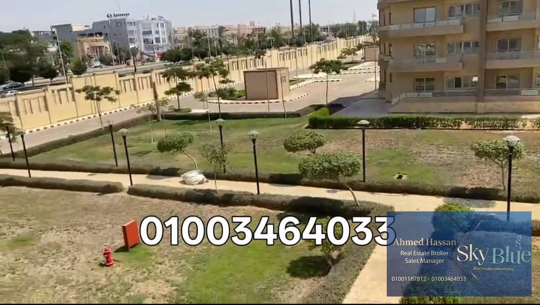 3 301942. jpg