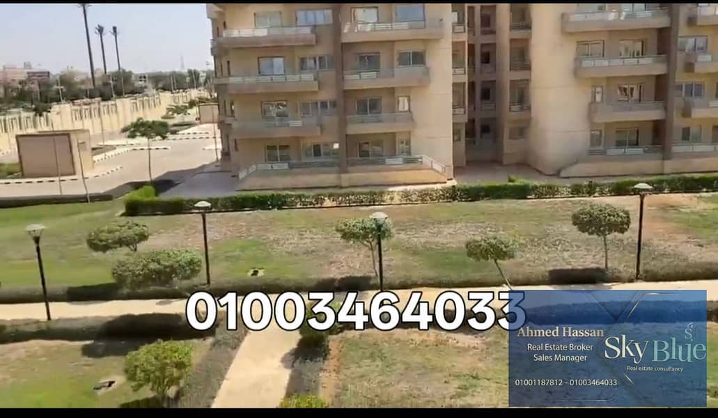 4 301941. jpg