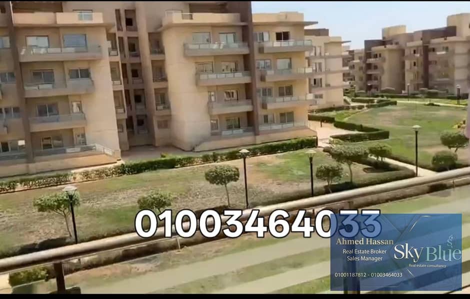 6 301949. jpg