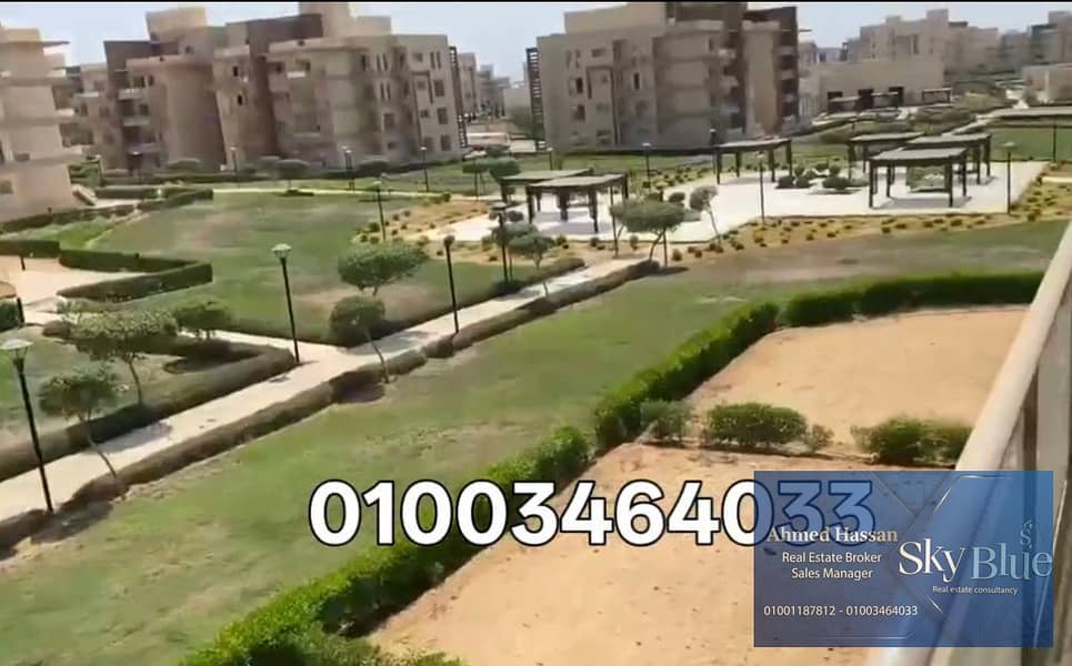7 301945. jpg