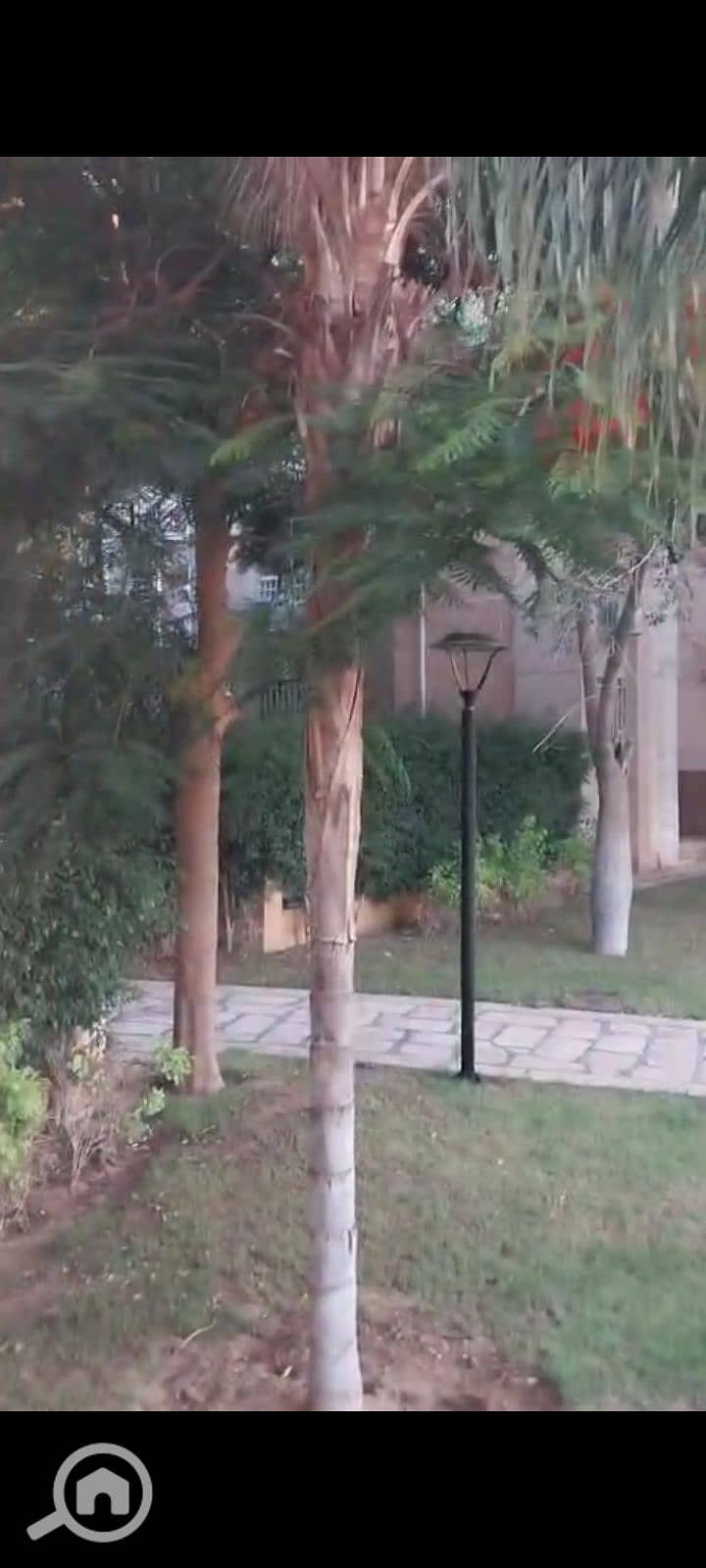6 1000194455. png