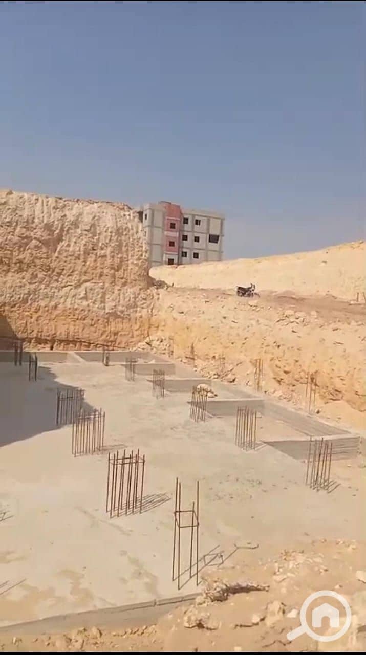 6 photo_1_2026-08-15_06-03-22. jpg
