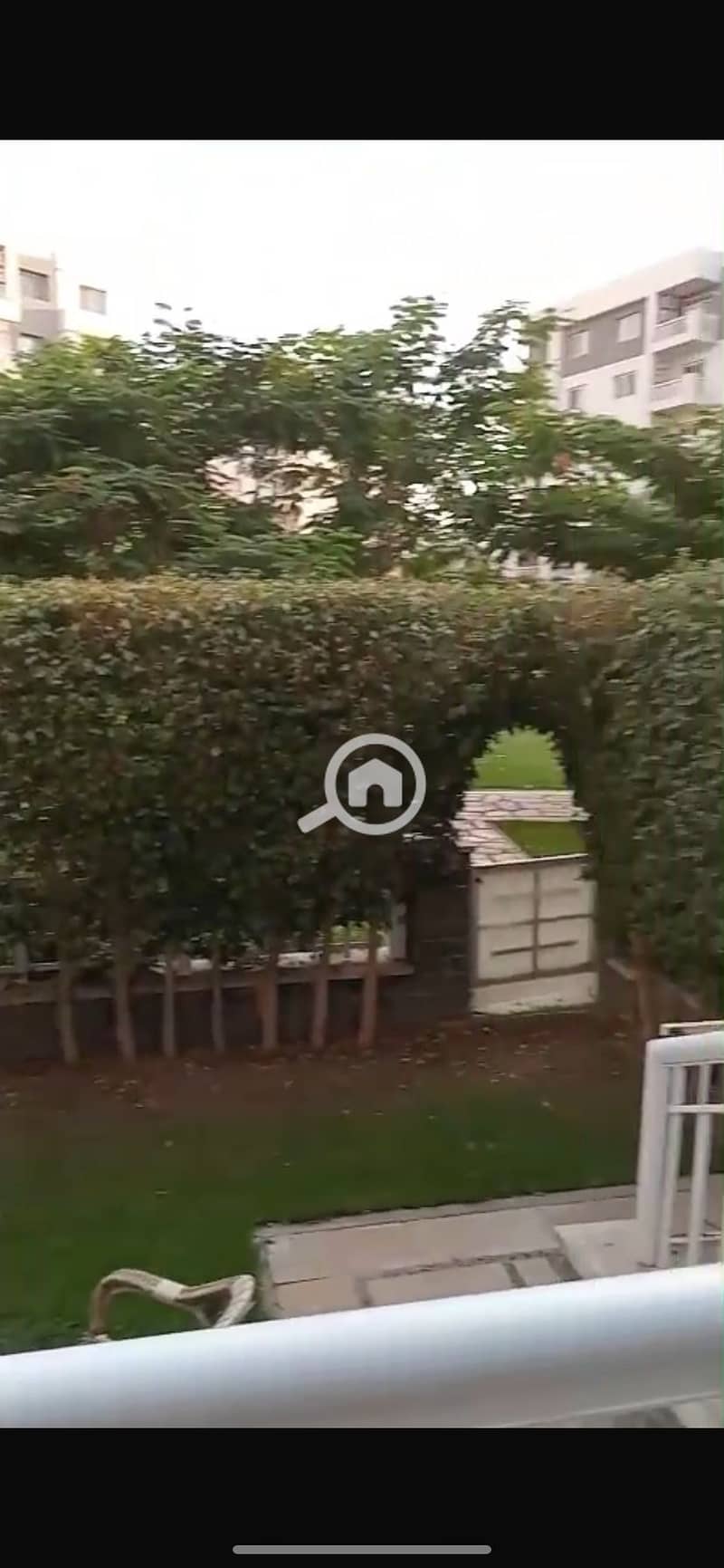 10 IMG_0577. png