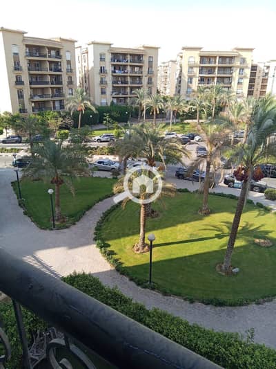 شقة 3 غرف نوم للايجار في القاهرة الجديدة، القاهرة - WhatsApp Image 2026-08-15 at 11.47. 32 AM (1). jpeg
