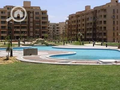 شقة 2 غرفة نوم للبيع في 6 اكتوبر، الجيزة - 60885085_101702674415928_1120821949828694016_n - Copy - Copy - Copy - Copy - Copy - Copy. jpg شقة 2 غرفة نوم للبيع في 6 اكتوبر، الجيزة - 60885085_101702674415928_1120821949828694016_n - Copy - Copy - Copy - Copy - Copy - Copy. jpg