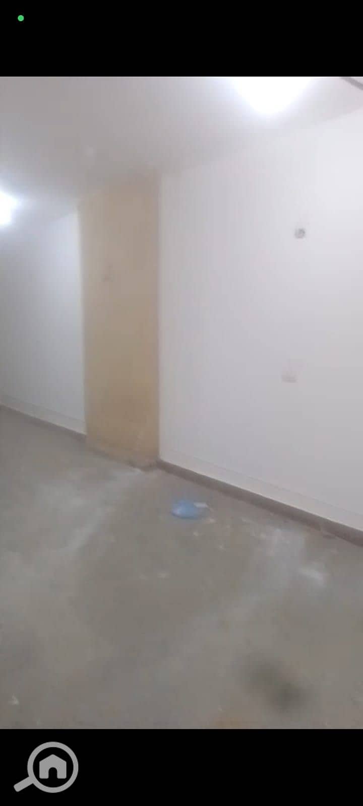 4 292966. jpg
