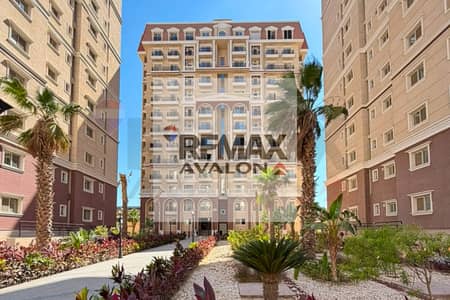 3 Bedroom Apartment for Rent in Moharam Bik, Alexandria - 1. jpg