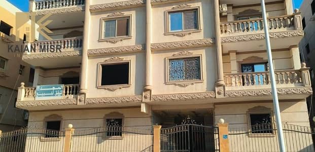3 Bedroom Apartment for Sale in Shorouk City, Cairo - 5575. jpg 3 Bedroom Apartment for Sale in Shorouk City, Cairo - 5575. jpg