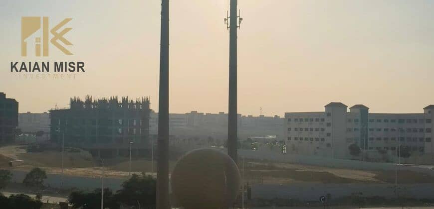 4 5579. jpg