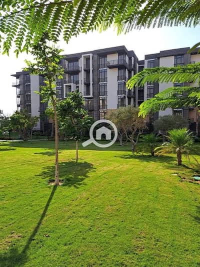 1 Bedroom Apartment for Sale in Madinaty, Cairo - 1000985533. jpg 1 Bedroom Apartment for Sale in Madinaty, Cairo - 1000985533. jpg