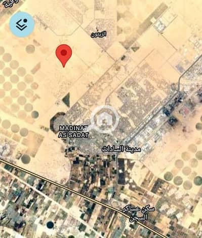 أرض للبيع في السادات، المنوفية - WhatsApp Image 2026-08-15 at 4.55. 36 PM. jpeg أرض للبيع في السادات، المنوفية - WhatsApp Image 2026-08-15 at 4.55. 36 PM. jpeg