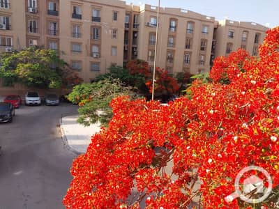 شقة 3 غرف نوم للبيع في القاهرة الجديدة، القاهرة - WhatsApp Image 2026-08-15 at 5.45. 18 PM. jpeg شقة 3 غرف نوم للبيع في القاهرة الجديدة، القاهرة - WhatsApp Image 2026-08-15 at 5.45. 18 PM. jpeg