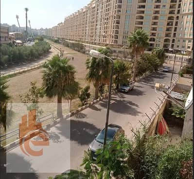 شقة 3 غرف نوم للايجار في سموحة، الإسكندرية - 563. png شقة 3 غرف نوم للايجار في سموحة، الإسكندرية - 563. png