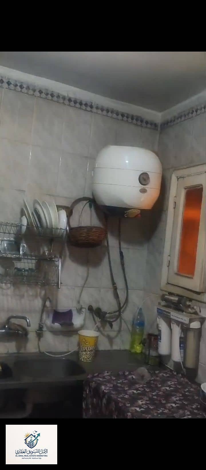 10 1000254046. jpg