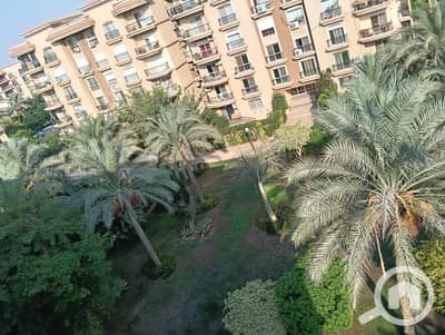 3 Bedroom Flat for Rent in New Cairo, Cairo - IMG-20260815-WA0107. jpg 3 Bedroom Flat for Rent in New Cairo, Cairo - IMG-20260815-WA0107. jpg