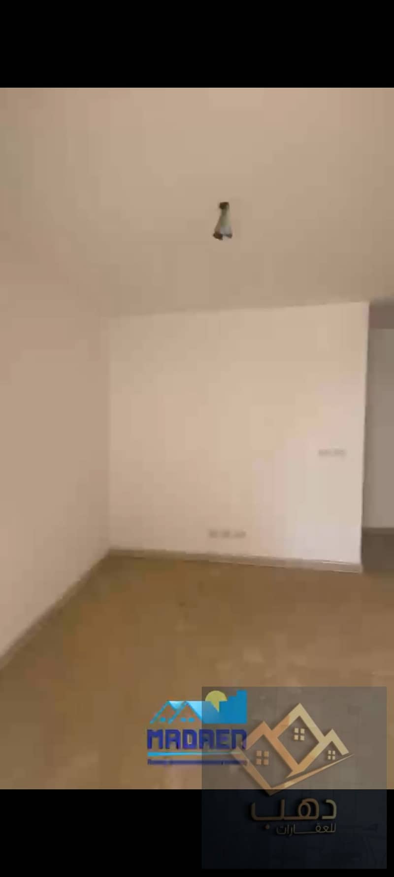 8 353526. jpg