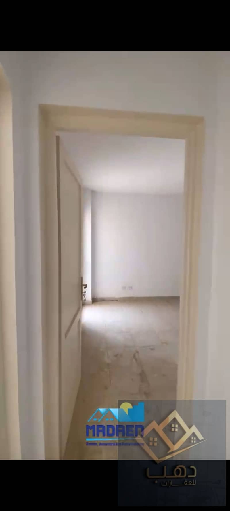 11 353528. jpg