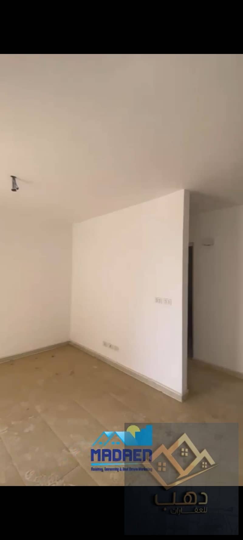 12 353521. jpg