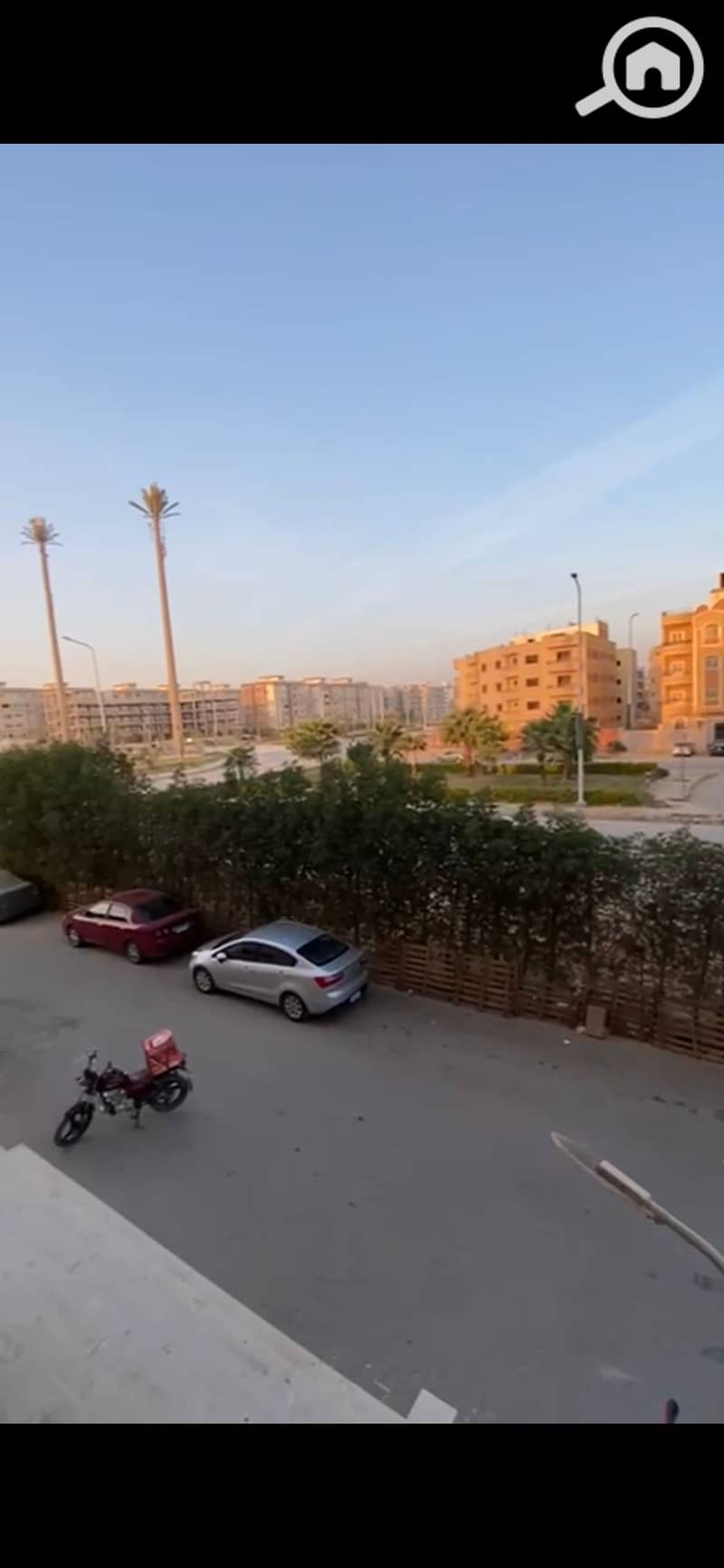 3 921464. jpg