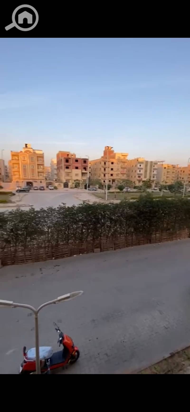 4 921463. jpg