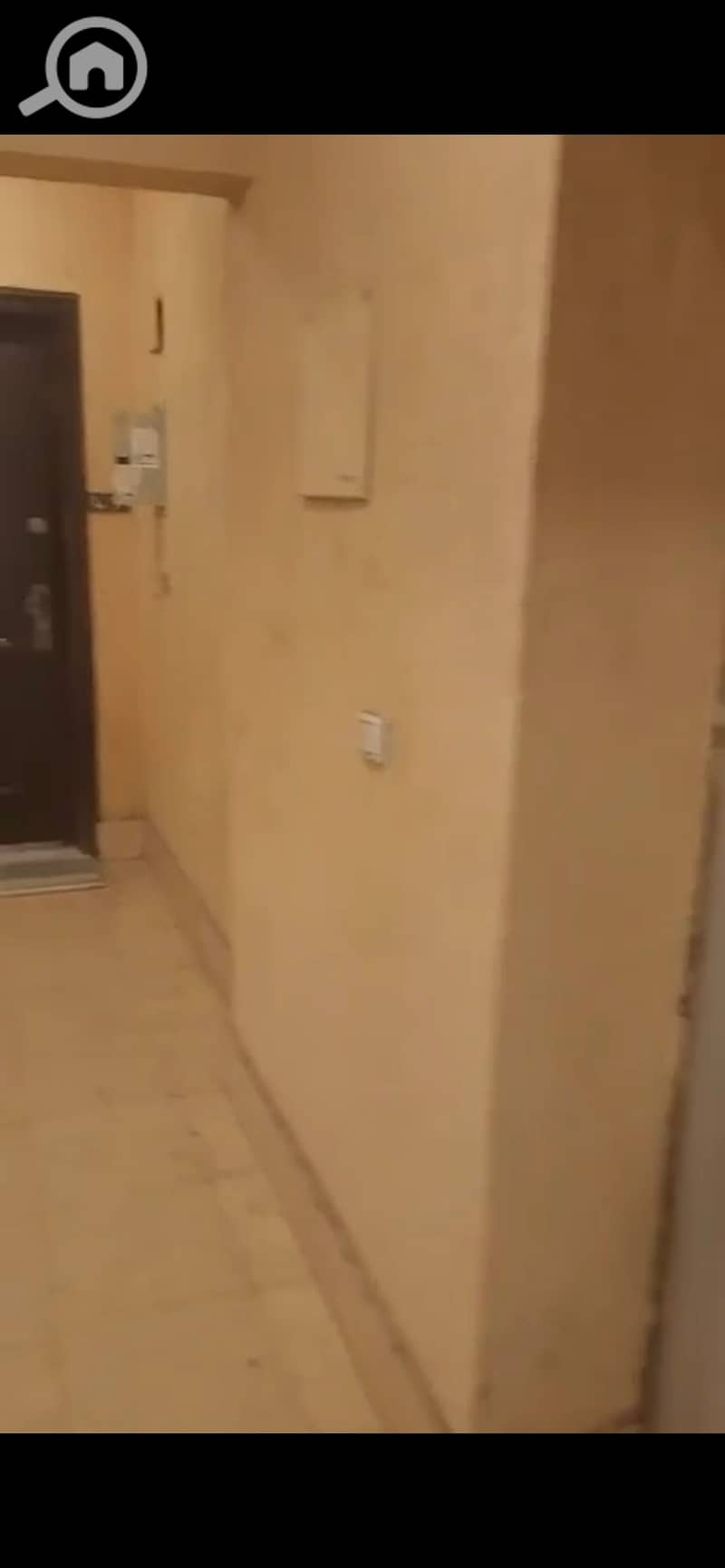 9 920247. jpg