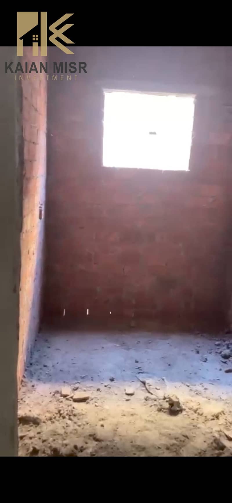 6 3563. jpg