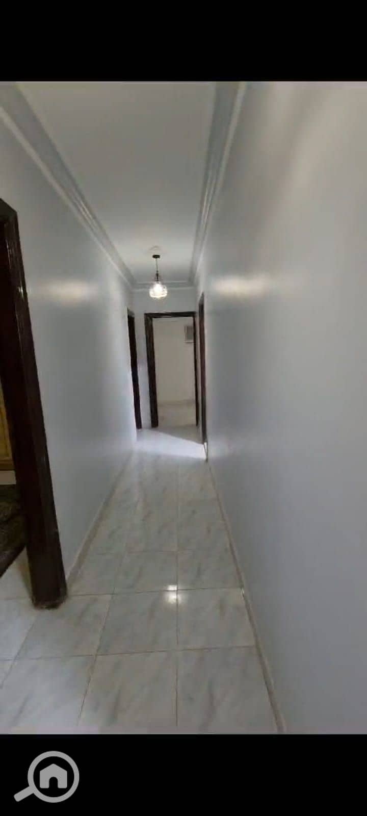 6 293996. jpg