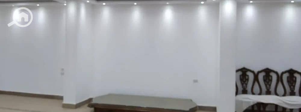 5 294018. jpg