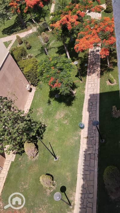 2 Bedroom Apartment for Sale in Madinaty, Cairo - WhatsApp Image 2026-08-16 at 11.02. 19 AM (1). jpeg 2 Bedroom Apartment for Sale in Madinaty, Cairo - WhatsApp Image 2026-08-16 at 11.02. 19 AM (1). jpeg
