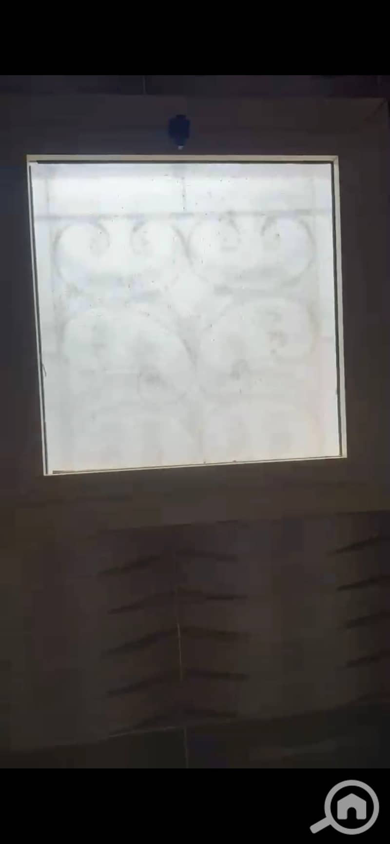 8 922398. jpg