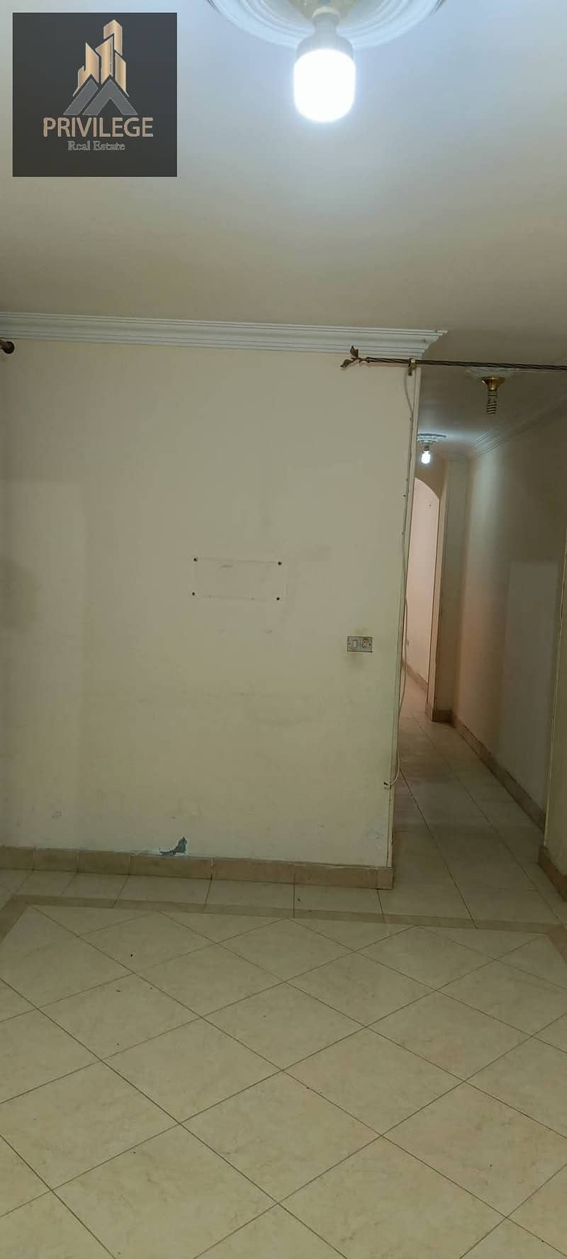 13 WhatsApp Image 2026-08-16 at 1.42. 58 AM. jpeg