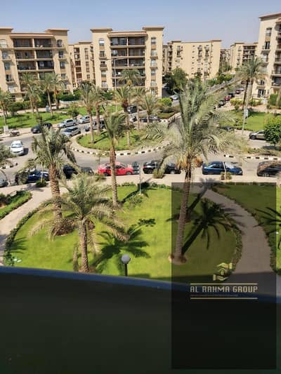شقة 3 غرف نوم للايجار في القاهرة الجديدة، القاهرة - WhatsApp Image 2026-08-16 at 12.10. 06 PM. jpeg شقة 3 غرف نوم للايجار في القاهرة الجديدة، القاهرة - WhatsApp Image 2026-08-16 at 12.10. 06 PM. jpeg