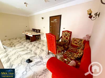 شقة 3 غرف نوم للايجار في ميامي، الإسكندرية - 1. jpg شقة 3 غرف نوم للايجار في ميامي، الإسكندرية - 1. jpg