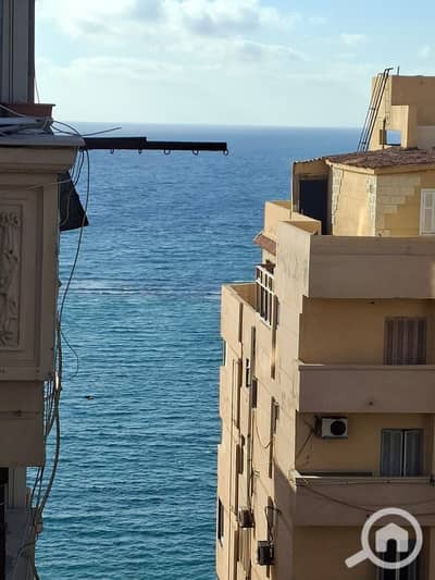 2 Bedroom Apartment for Rent in Mandara, Alexandria - 1000493312. jpg
