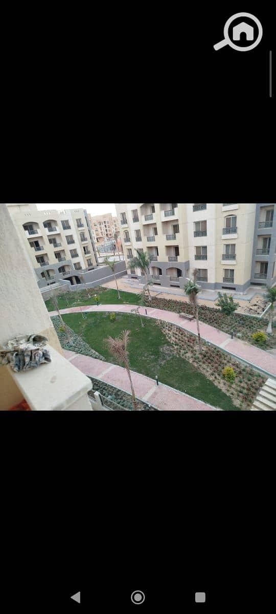 6 143124. jpg