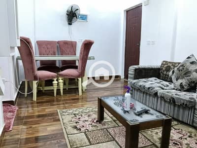 2 Bedroom Flat for Rent in Mandara, Alexandria - 1000424633. jpg