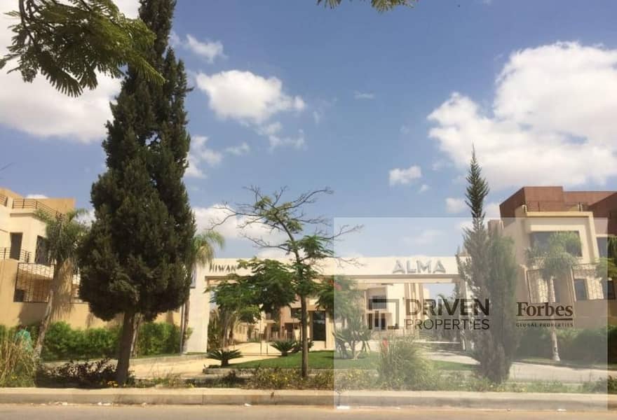 6 original (4). jpg