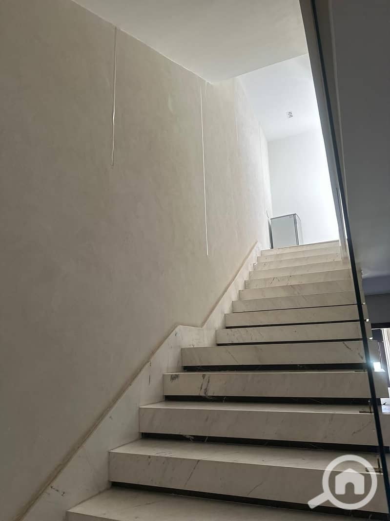 5 259477. jpg